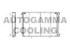 AUTOGAMMA 101407 Radiator, engine cooling